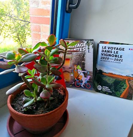 Le restaurant - Du Coq à l'Âne - Bouguenais - manger a BOUGUENAIS